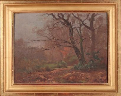 null Louis Marius GUEIT (1877-1956)
Sous-bois en automne.
Huile sur carton toilé,...