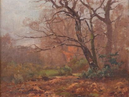 null Louis Marius GUEIT (1877-1956)
Undergrowth in autumn.
Oil on canvas, signed...