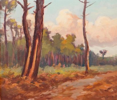 null Louis Marius GUEIT (1877-1956)
Chemin forestier.
Huile sur panneau, signée en...