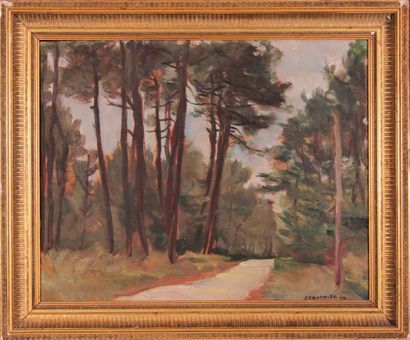 null J. VAUTRIER (XIX-XXth century)
Chemin forestier.
Oil on panel, signed lower...