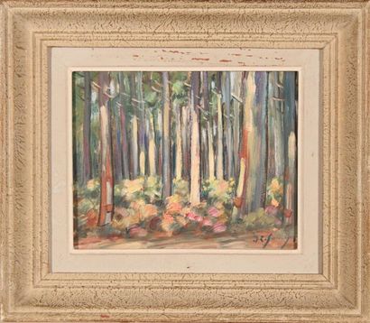 null Jean-Roger SOURGEN (1883-1978)
Forêt landaise.
Huile sur panneau, signée en...