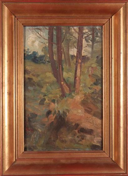 null René BUTHAUD (1886-1986)
Edge of forest.
Oil on board signed and dated "00"...