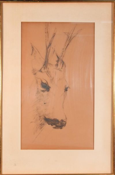 null Attributed to Anny FOURTINA (1912-1967)
Deer head.
Charcoal drawing on tracing...