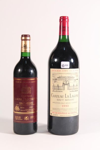 null 1993 - Château La Lagune Haute Médoc - 1 Magnum
1993 - Château La Rose Trintaudon...