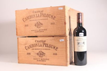 null 20 bouteilles Château Cambon la Pelouse 2005