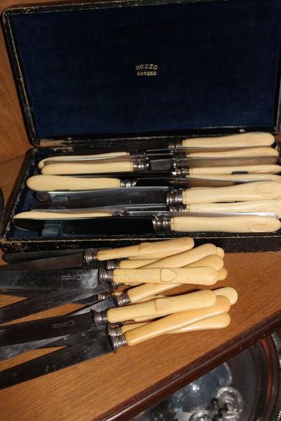 null In a case, 12 stainless steel blade knives, composition handle.

12 fruit knives,...