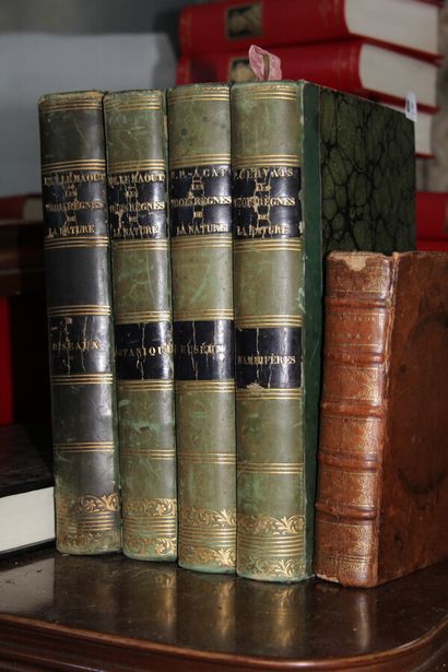 null Set of bound books (half green basane): 

Natural history by Paul GERVAIS, natural...