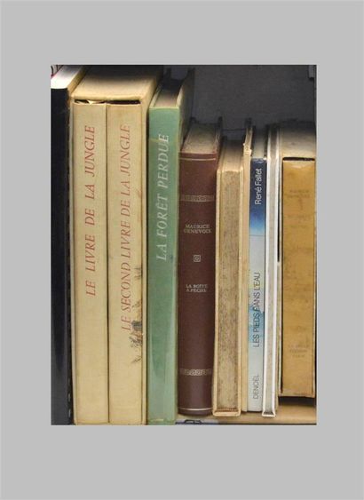 null PÊCHE - LITTÉRATURE

10 volumes principalement en cartonnages : GENEVOIX : Le...