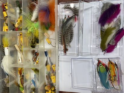 null LEURRES

A large box of fresh water lures and 3 boxes containing 21 nice lures...