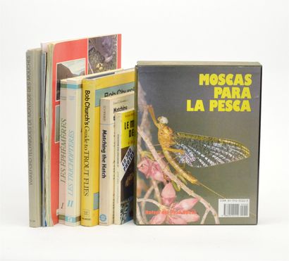 null FISHING - FLIES

7 volumes mainly in cardboard: DEL POZO OBESO: Moscas para...