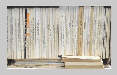 null PEACH - BORNEMANN COLLECTION

54 Paperback Volumes: Small popular collection...