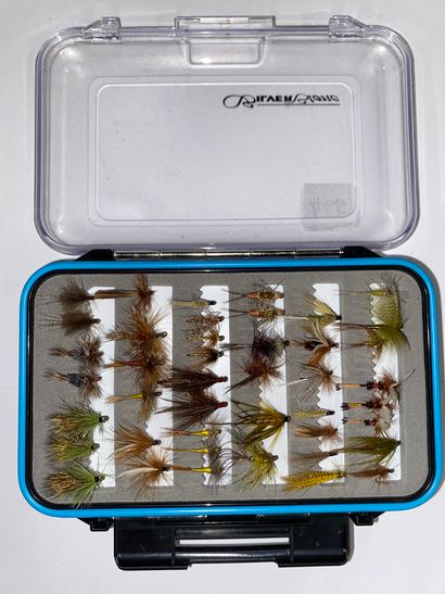 null FLIES BOX

Double storage box containing hundreds of different flies in a superb...