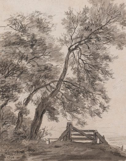 null FA.MILATZ (1763-1808)

Étude d'arbres.

Pierre noire et lavis gris.

Daté en...