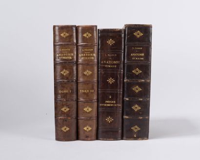 null TESTUT (Léo)

Traité d'anatomie Humaine. Paris, Doin, 1921-23.

4 forts volumes...