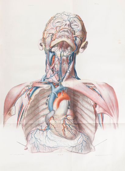 null [BRESCHET (Gilbert)]

Recherches Anatomiques, Physiologiques et Pathologiques...