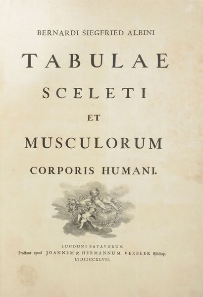 null ALBINUS (Bernardi Siegfried)

Tabulae Sceleti et Musculorum Corporis Humani....