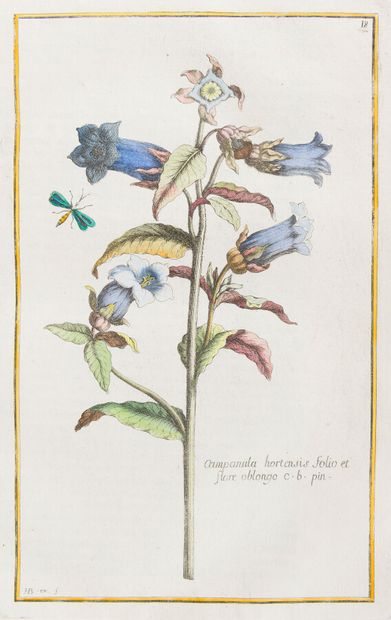 null Color plates

GARIDEL (Pierre Joseph)

History of the Plants which are born...
