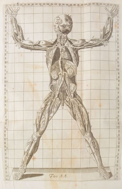 null WINSLOW (Jacques Bénigne)

Esposizione Anatomica della Struttura del Corpo Umano....