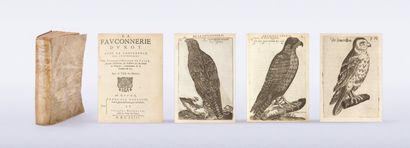 null Ex-libris bibliothèque du châteaud e Valançey

Arcussia (Charles d')

La Fauconnerie...