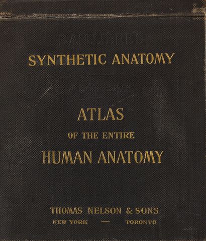 null CHEESMAN (J.E.)

Synthetic Anatomy. Atlas of the entire Human Anatomy. New York...