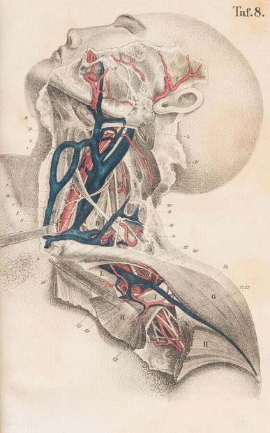null PIROGOFF'S (N.)

Nicol. Pirogoff's Chirurgische Anatomie der Arterienstämme...