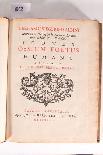null ALBINUS (Bernhard Siegfried)

Icones Ossium Foetus Humani accedit Osteogeniae...