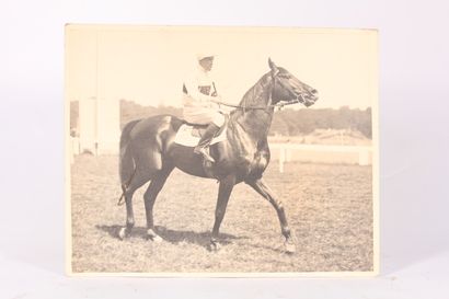 null Set of ten silver prints "Race and show horses": Buland Bala, Ksar, Rabelais,...