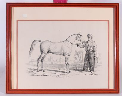 null According to Horace VERNET

Mare defending her foal

Large color lithograph...