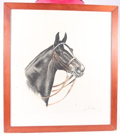 null According to Léon DANCHIN

Horse head

1938" colour lithograph countersigned...