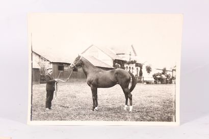 null Set of ten silver prints "Race and show horses": Buland Bala, Ksar, Rabelais,...