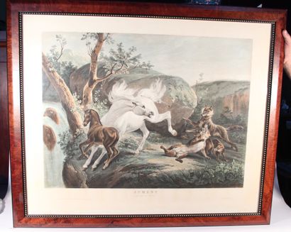 null According to Horace VERNET

Mare defending her foal

Large color lithograph...