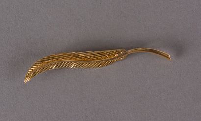 null Brooch in yellow gold 750 thousandths in the shape of feather 3,6 g.