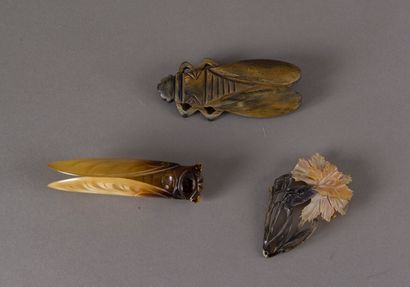 null Three engraved horn brooches: two cicadas and carnations.