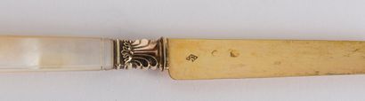null Eighteen Restoration period fruit knives. The handles in mother-of-pearl carved...