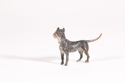 null Painted Vienna bronze: standing dog, 3.5 x 5 cm.