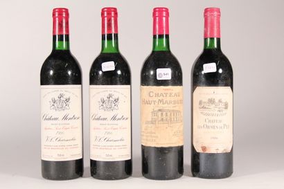 null 1986 - Les Ormes de Pez 

Saint-Estephe - 1 bottle 

1986 - Château Haut Marbuzet...