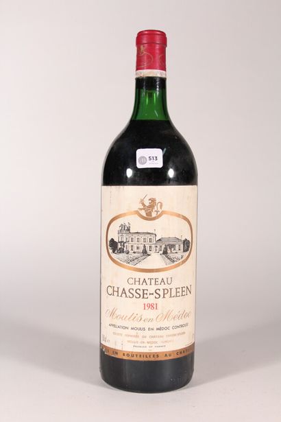 null 1981 - Château Chasse Spleen

Moulis-en-Médoc - 1 mgn