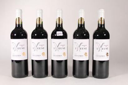 null 2016 - Domaine de L'Yeuse

AOP Faugères Red - 5 bottles