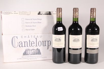null 2005 - Château Canteloup

Graves - 6 blles