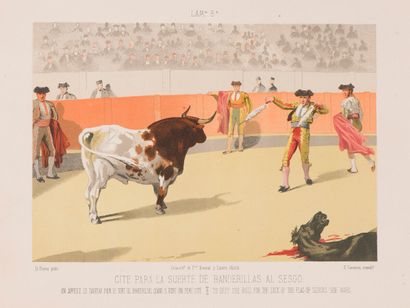 null PEREA (Don Daniel)

Suite de 14 chromolithographies sur les Corridas de Toros...