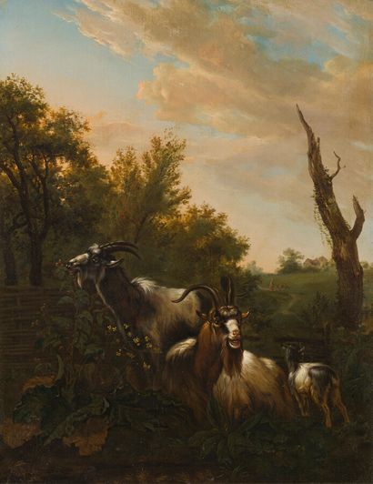 null ATTRIBUE A Eugène VERBOECKHOVEN (1798/99-1881)

Chèvres dans un paysage.

Huile...
