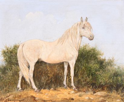 null Modern school

"Horses"

Two oils on isorel signed "A. Alexander".

22 x 27...