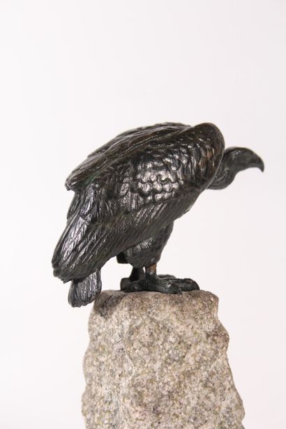 null D'après Alfred BARYE (1839-1882)

"Vautour"

Sculpture en bronze à patine brune.

Socle...