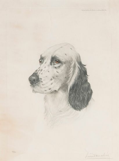 null After Léon DANCHIN

"Spaniel".

Lithograph in colors countersigned in pencil...
