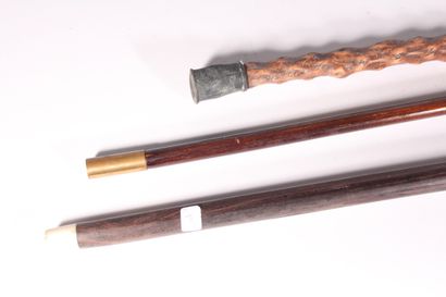 null Set of three canes, one with a deer antler pommel, another with a bone pommel...