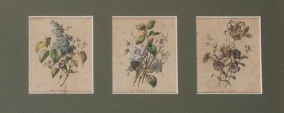 null Ensemble d'environs 20 gravures couleurs 

"Botanique"

Gravures extraites d'ouvrages...