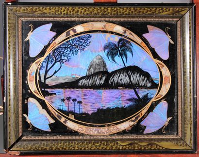 null Inlay of butterfly wings, souvenir of Rio

"View of Rio de Janeiro"

About 1920

38...