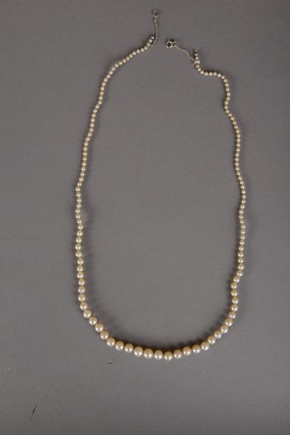 null Collier de 134 perles fines en chute de couleur blanc crème, diamètre des perles...