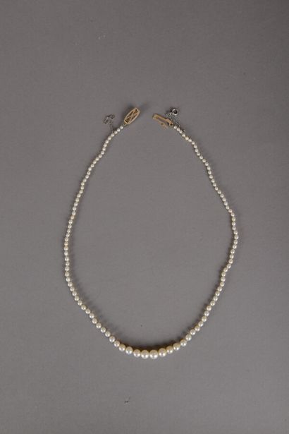 null Necklace of 114 pearls in fall of white cream color, 111 fine pearls and 3 pearls...