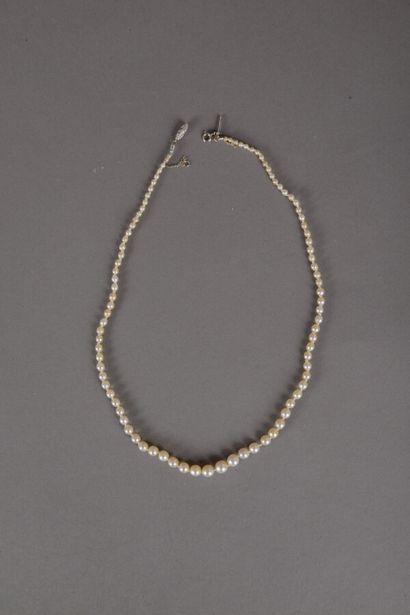 null Necklace of 93 fine pearls in fall of white cream color, diameter of the pearls...